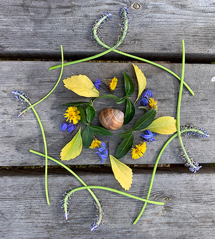 En dekoration av blommor och blad och en snäcka som ligger utlagt på ett träunderlag